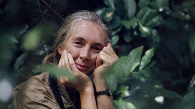 Jane Goodall Institute
