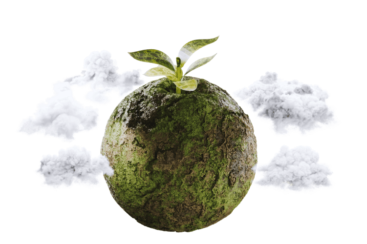 Kokedama Design Workshop